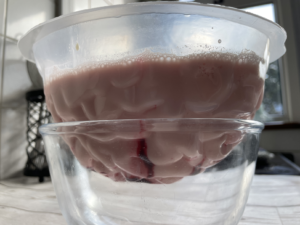 Jello brain mould