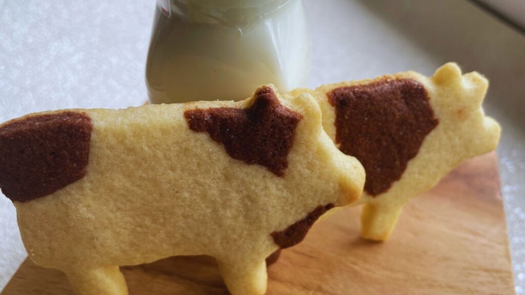 Cow shaped butter cookies