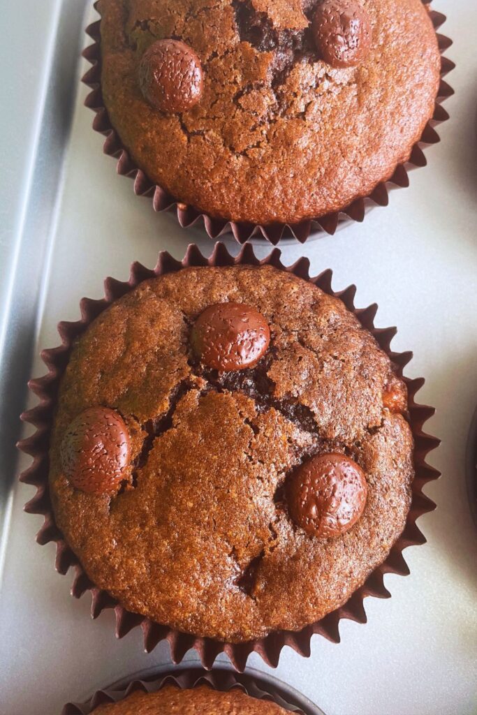 Double Chocolate Muffins recipe