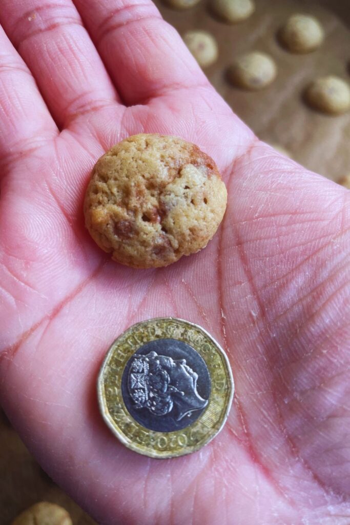 close up shot of homemade Cookie Crisp Cereal on a hand with a pound coin